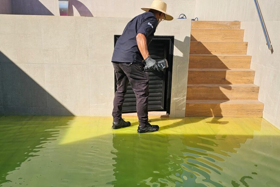 WhatsApp Image 2025-07-30 at 17.02.50